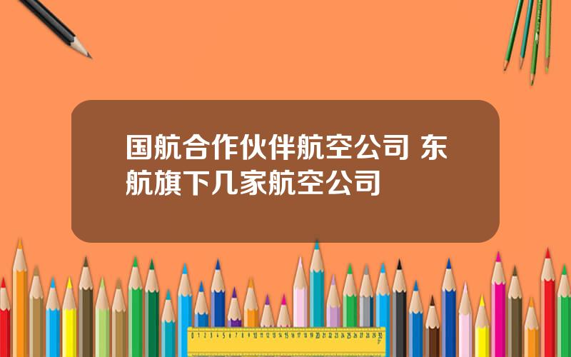 国航合作伙伴航空公司 东航旗下几家航空公司